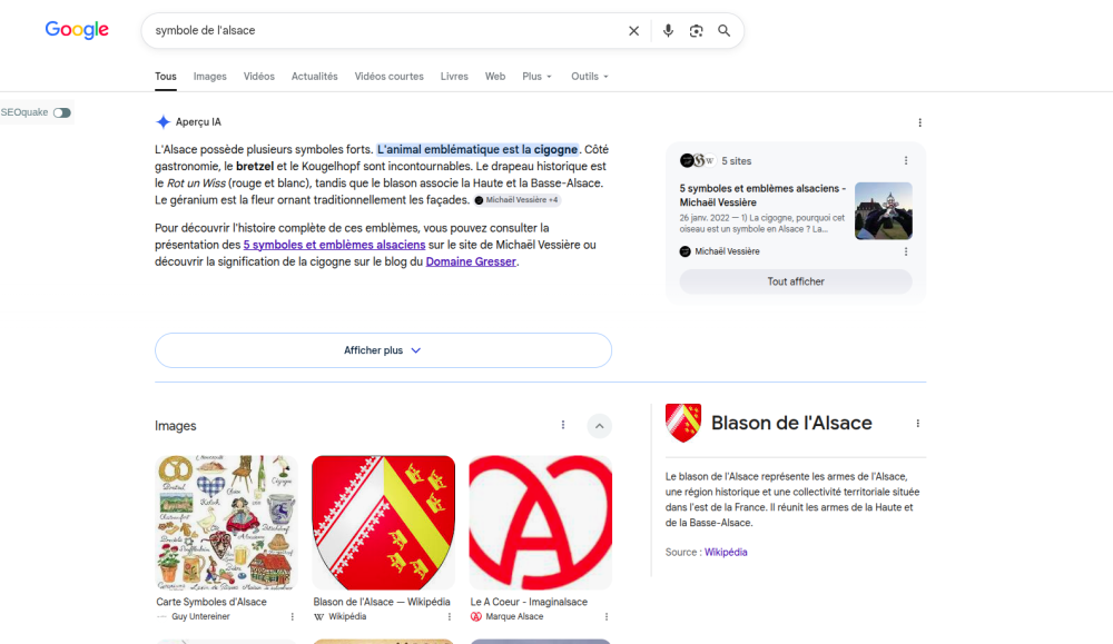 Arrivée de IA Overview ce 22 juillet 2026 en France. Exemple d'affichage